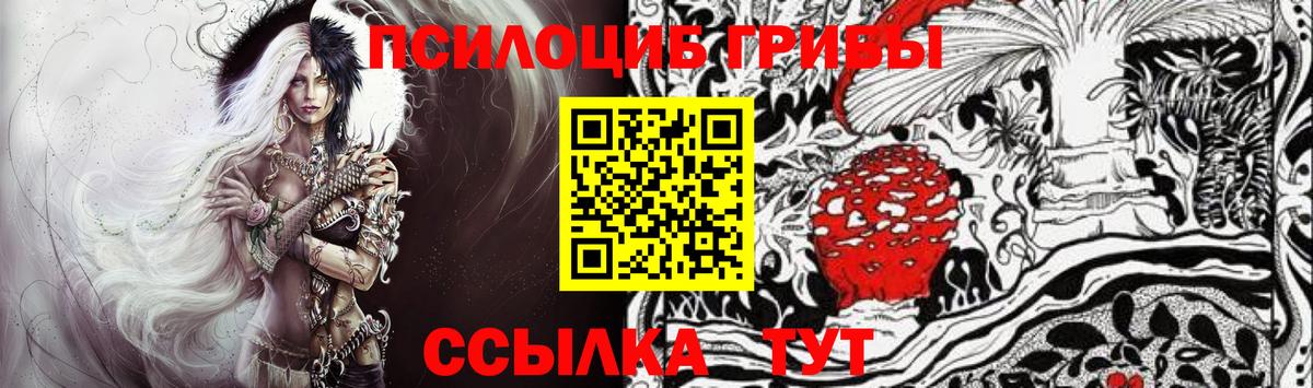 Арзамас  Псилоцибиновые грибы Cubensis  Вход с VPN 